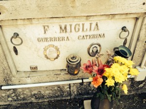 Here is a close up of a spot.  It reminded me of my favorite Aunt Cat.