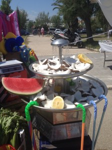 Does coconut grow in Italy?