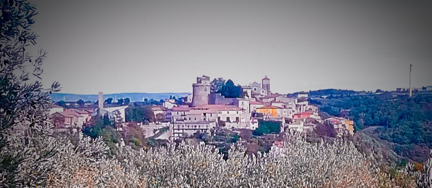 ca193f4a-64ec-432d-ad50-ee0317da5179-2